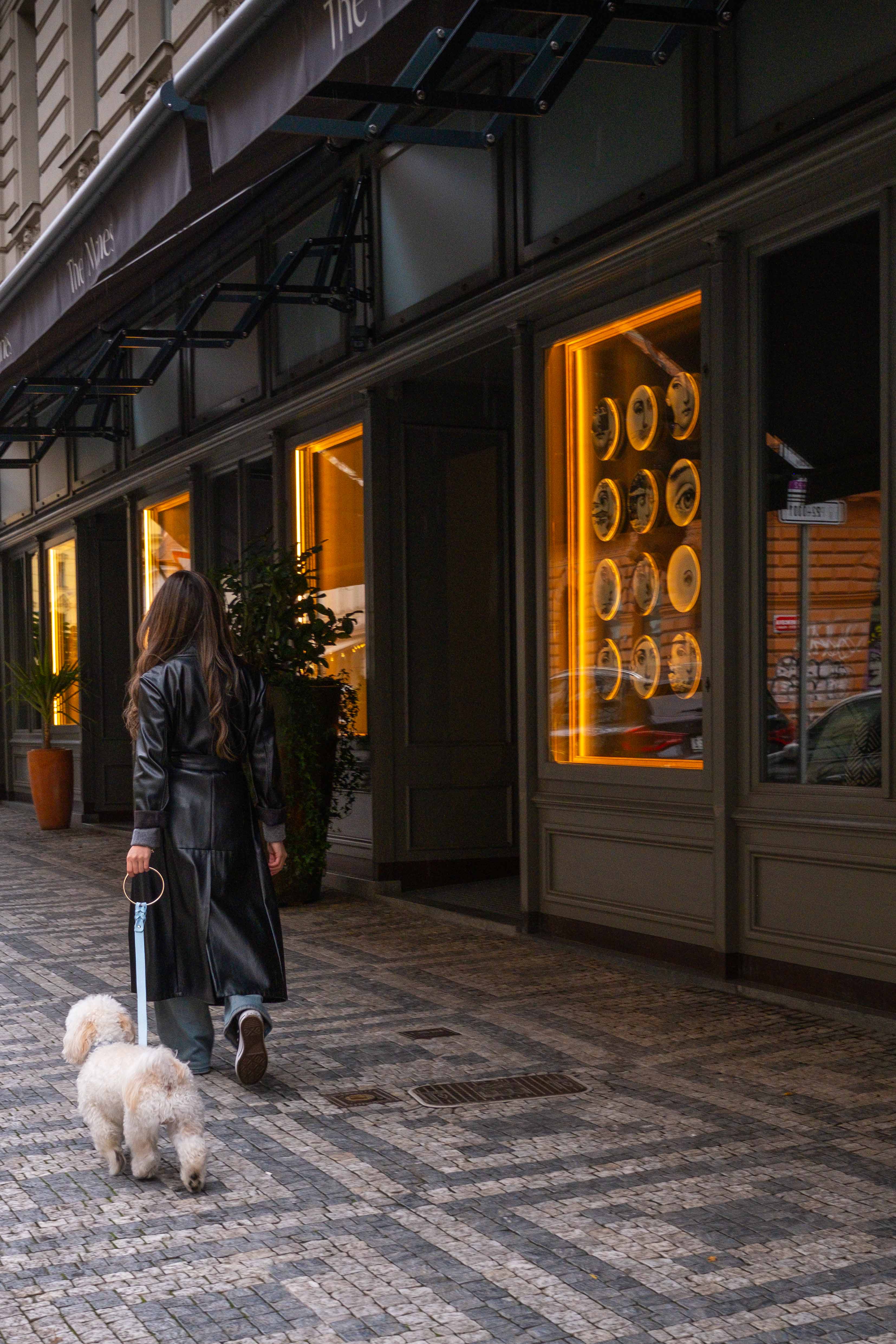 Aurora Leash