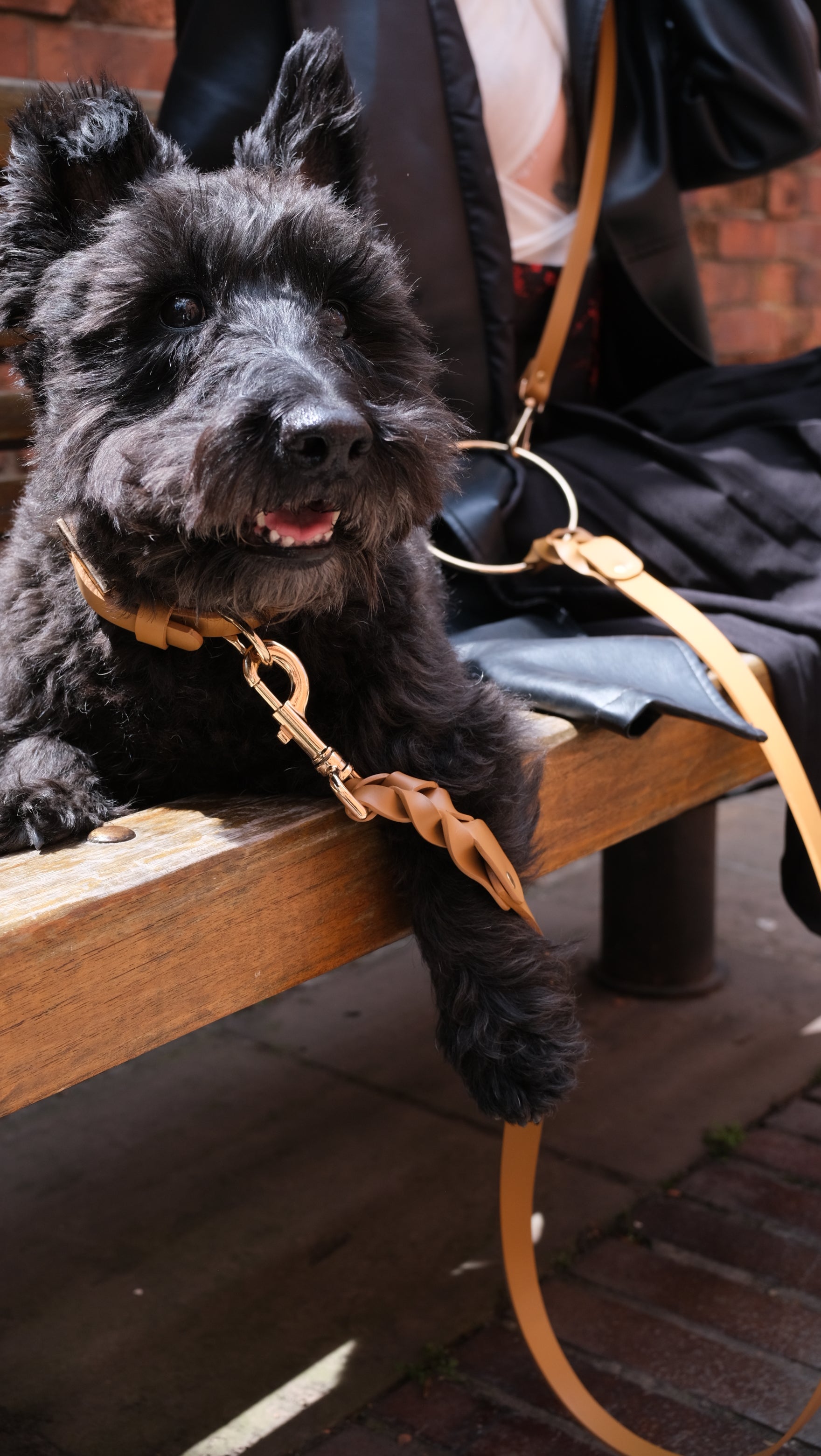 Caramelo Collar